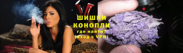 винт Богданович