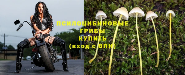 спиды Бородино