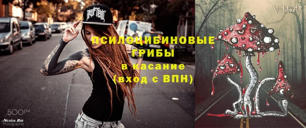 спиды Бородино