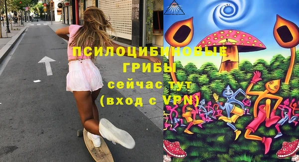 винт Богданович