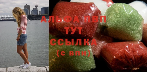спиды Бородино